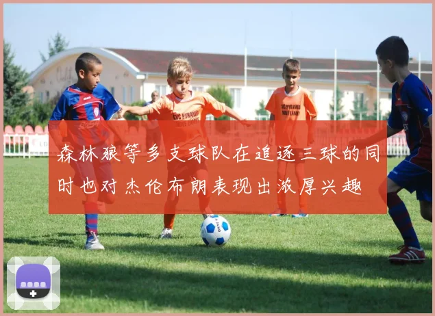森林狼等多支球队在追逐三球的同时也对杰伦布朗表现出浓厚兴趣